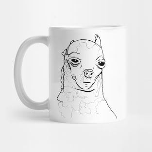 Unimpressed-Dog-or-Whatever-this-Meme's-Called Mug